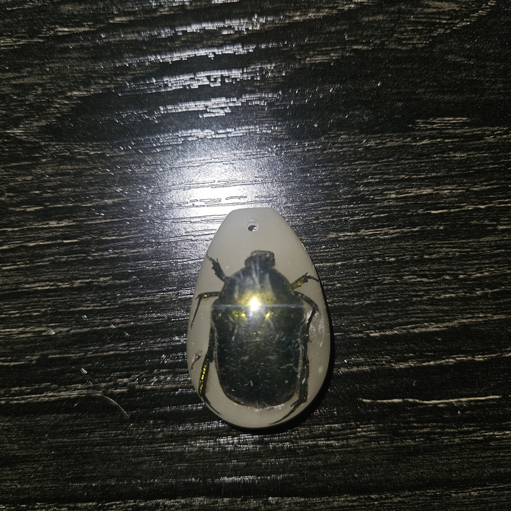 🦋 Lot B/E Insect Pendant Necklace